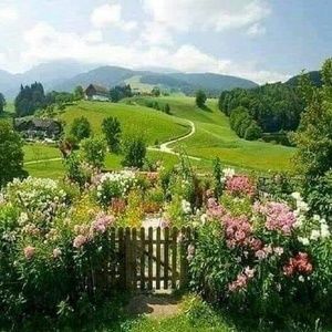 Meet your Posher, Vicki